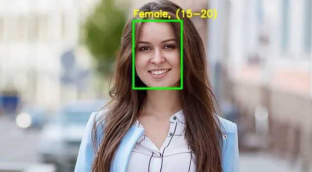 人物顔画像の属性推定AI構築業務