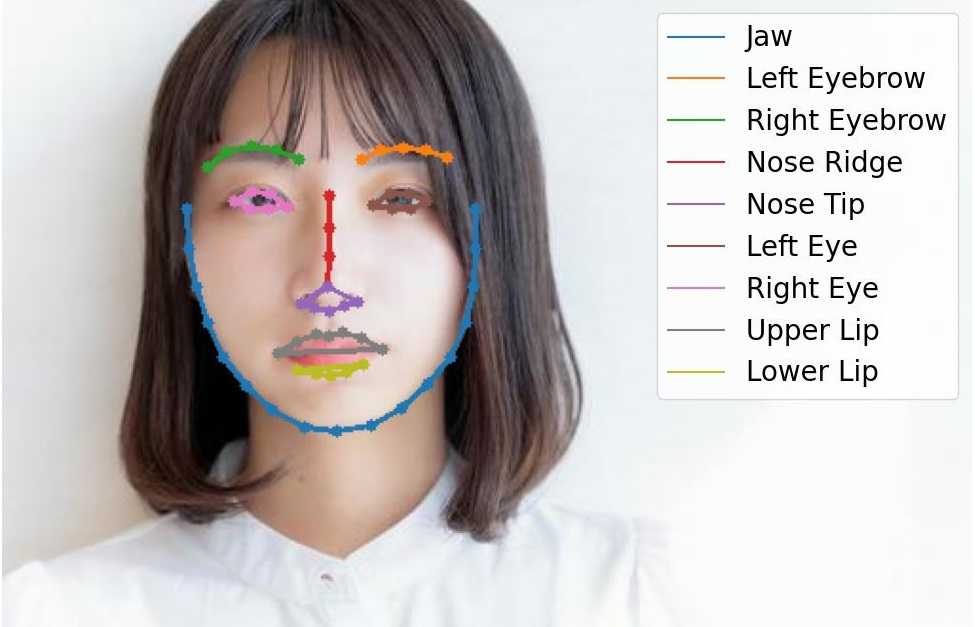 アプリの使用満足度データ分析業務